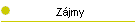 Zjmy